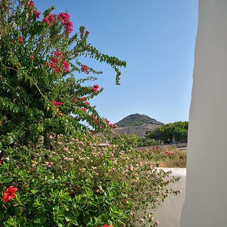 Amelie Villa With Pool And Amazing Sea Views, Paros Márpissa Exterior foto