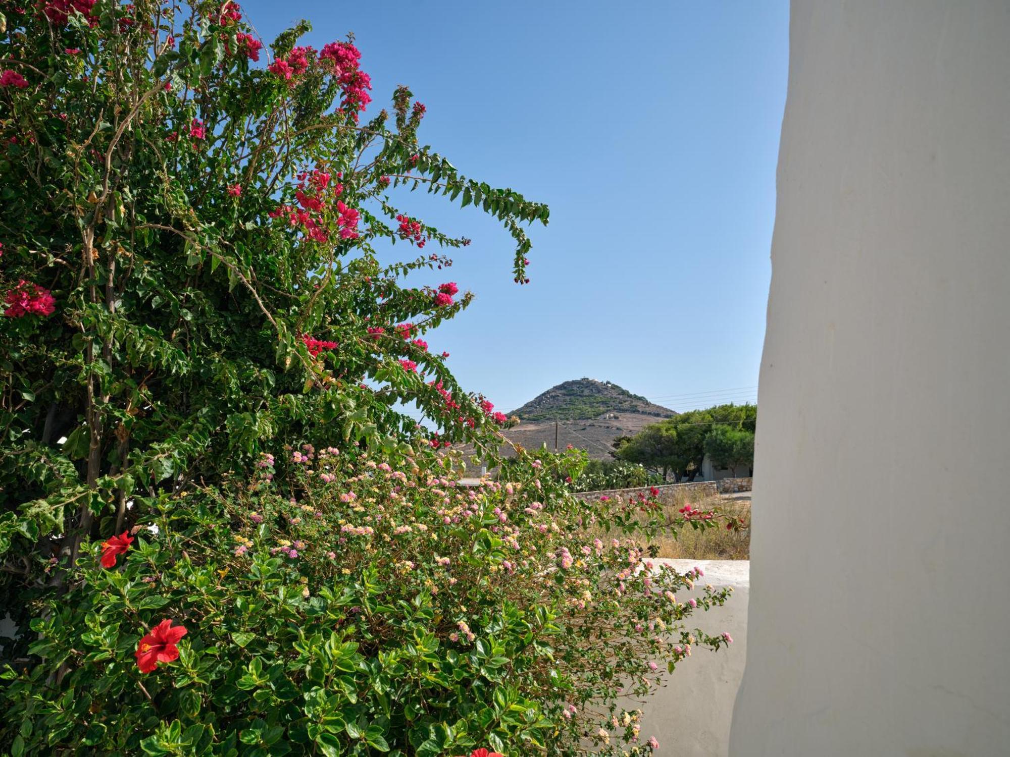 Amelie Villa With Pool And Amazing Sea Views, Paros Márpissa Exterior foto